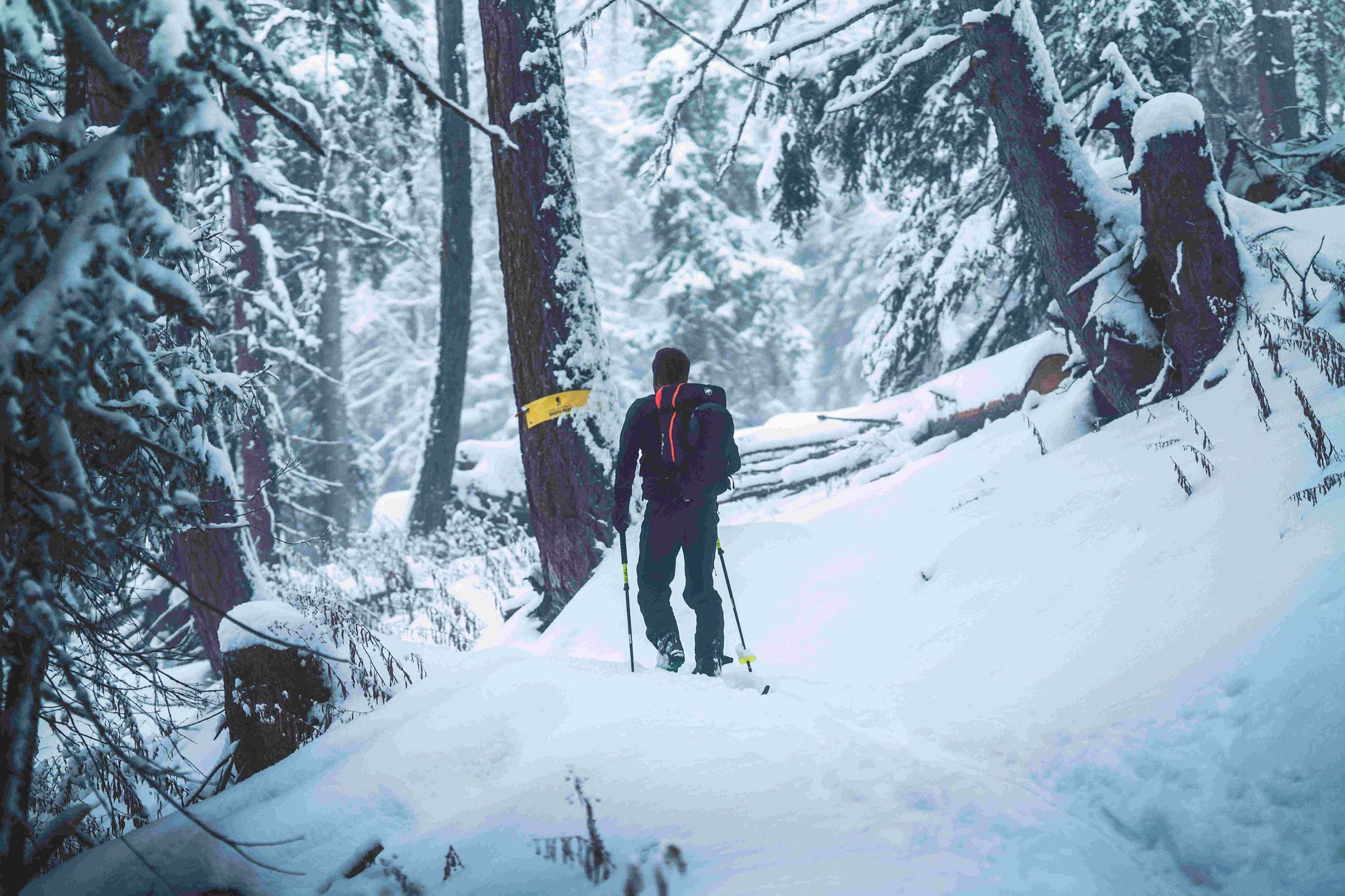 Eine Auswahl an sicheren Skitouren mit herrlichen Panoramen.